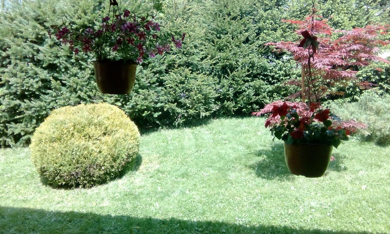 Apartmani Nais Zlatibor Ngoại thất bức ảnh